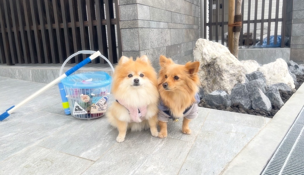 プロギングドッグ朝ん歩 レポート