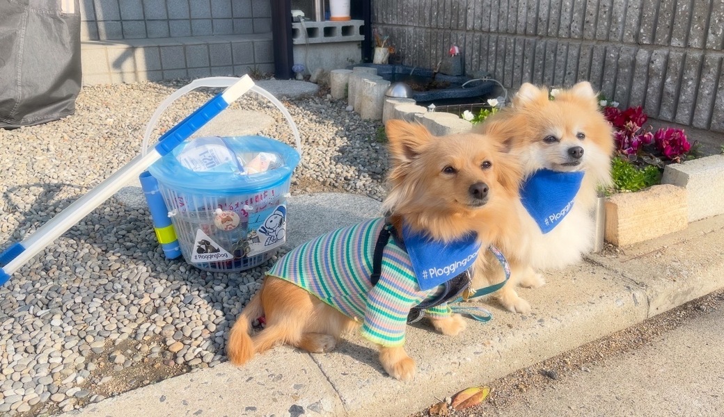 プロギングドッグ朝ん歩 レポート