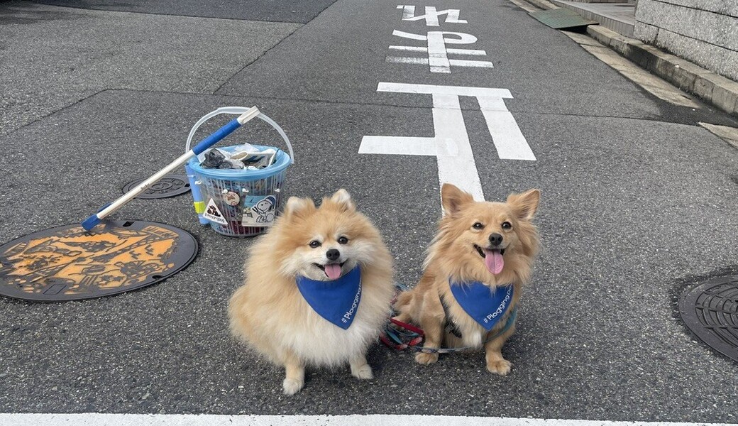 プロギングドッグ朝ん歩 レポート