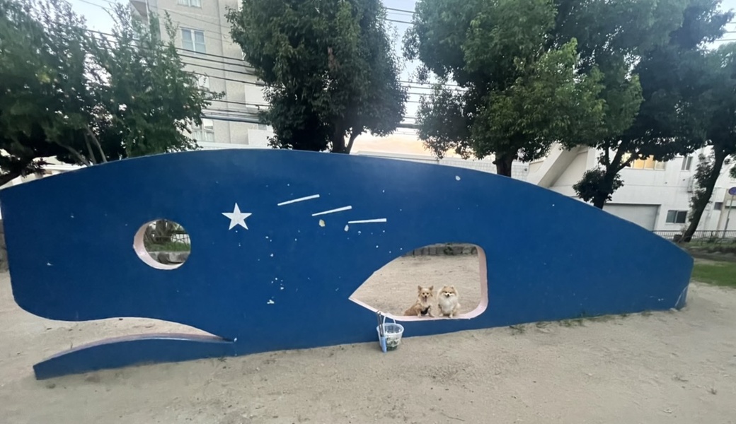 夕ん歩 プロギングドッグ レポート