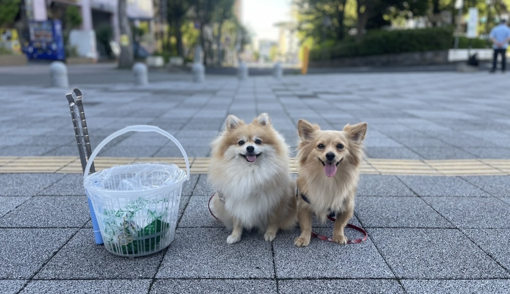 プロギングドッグ朝ん歩 レポート