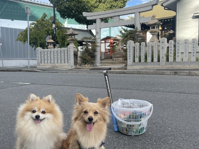 プロギングドッグ 朝ん歩 レポート