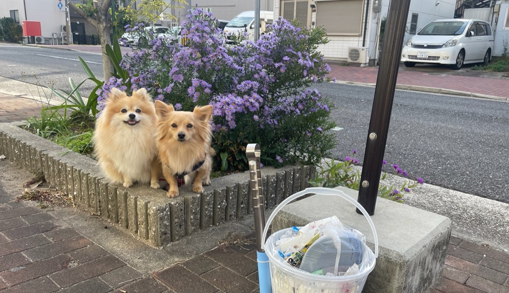 プロギングドッグ　朝ん歩 レポート