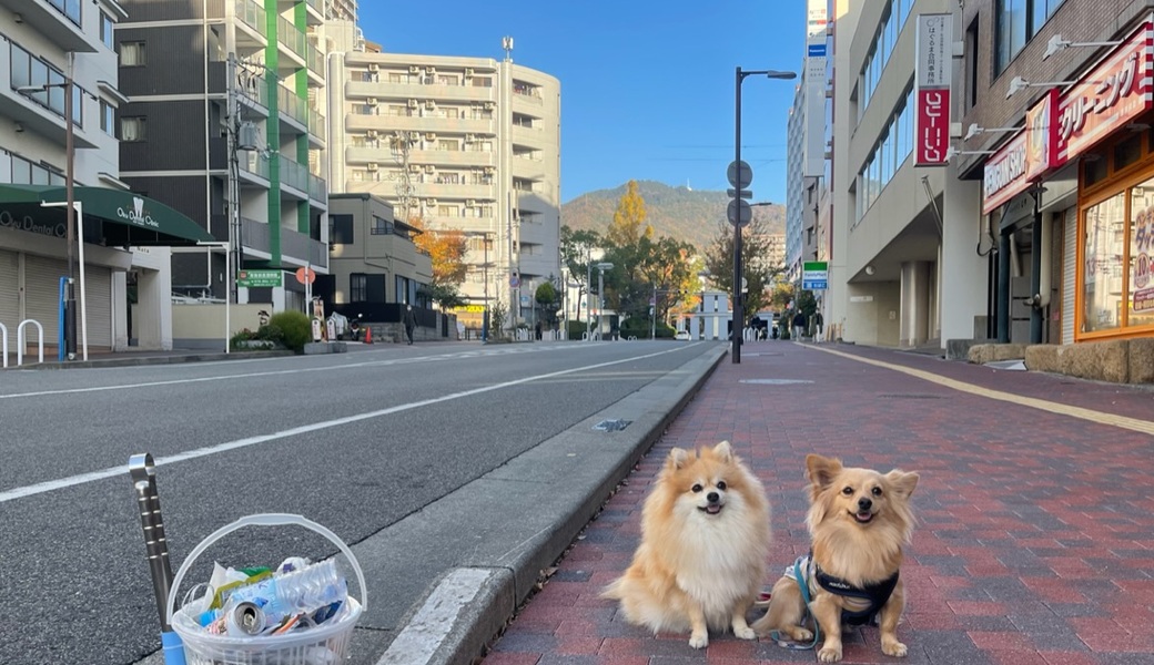 プロギングドッグ　朝ん歩 レポート