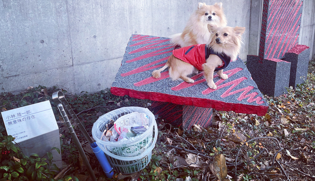 プロギングドッグ　朝ん歩 レポート