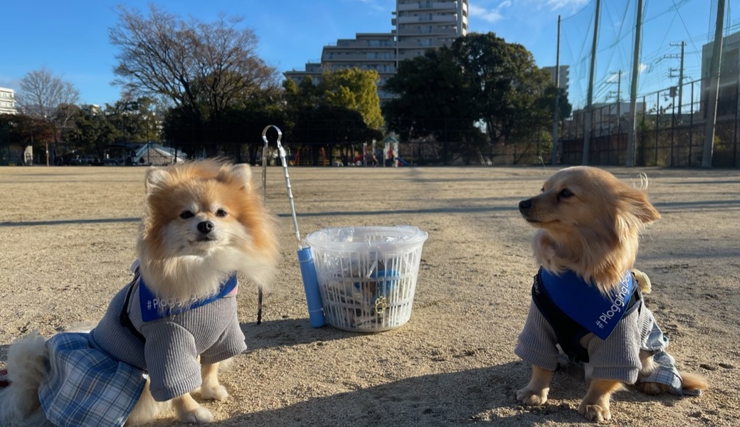 プロギングドッグ　朝ん歩 レポート