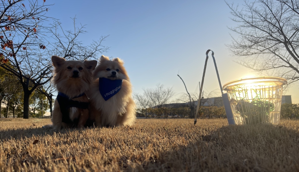 プロギングドッグ　朝ん歩 レポート