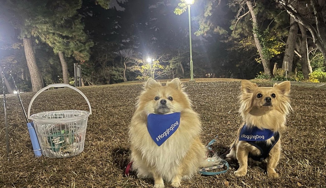 プロギングドッグ　夕ん歩 レポート
