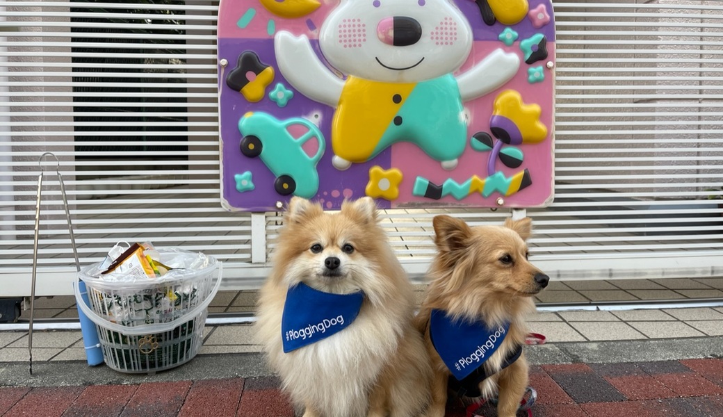 プロギングドッグ　朝ん歩 レポート