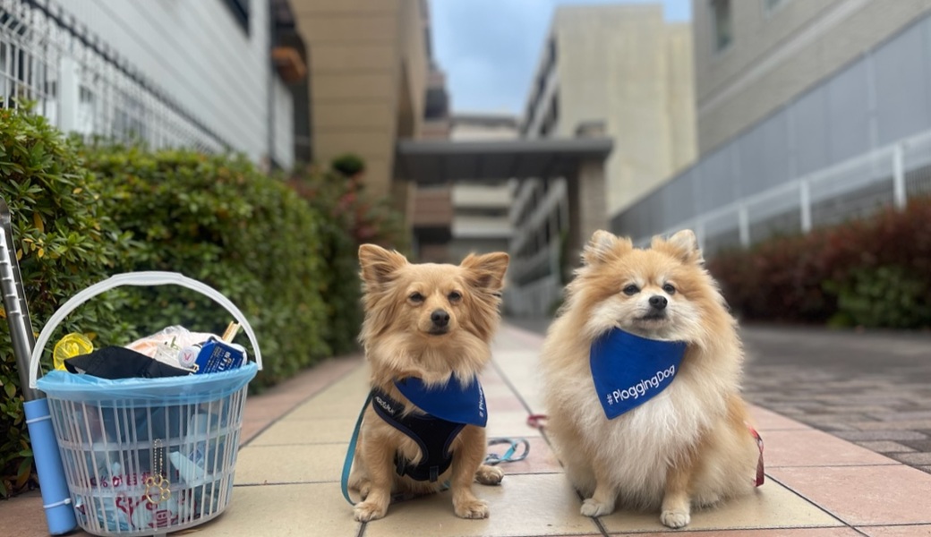 プロギングドッグ　朝ん歩 レポート