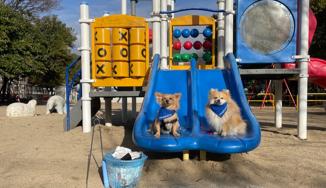 プロギングドッグ　朝ん歩 レポート