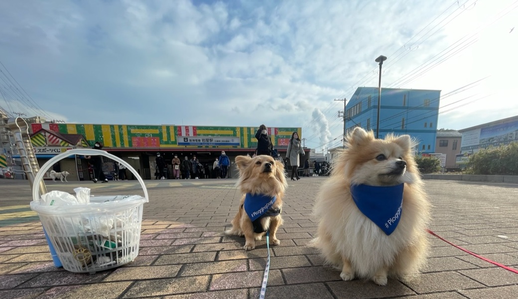 プロギングドッグ　朝ん歩 レポート