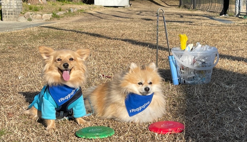 プロギングドッグ　朝ん歩 レポート
