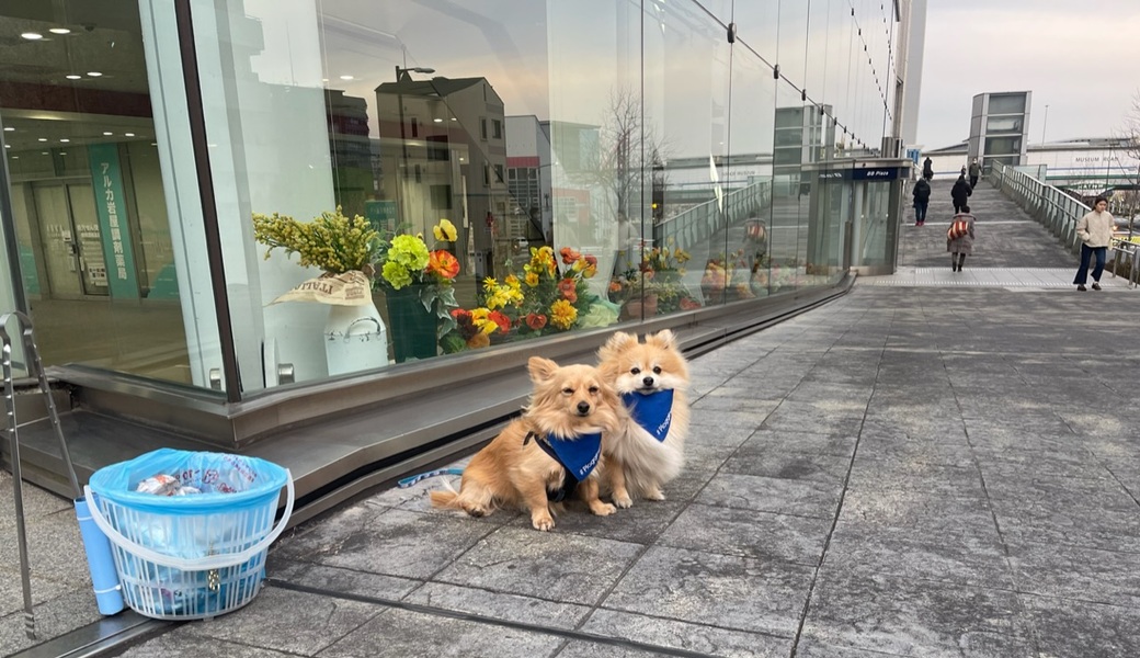 プロギングドッグ　夕ん歩 レポート