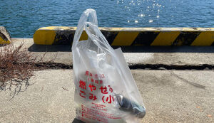 NAUTICA CLEANUP #2 アイキャッチ