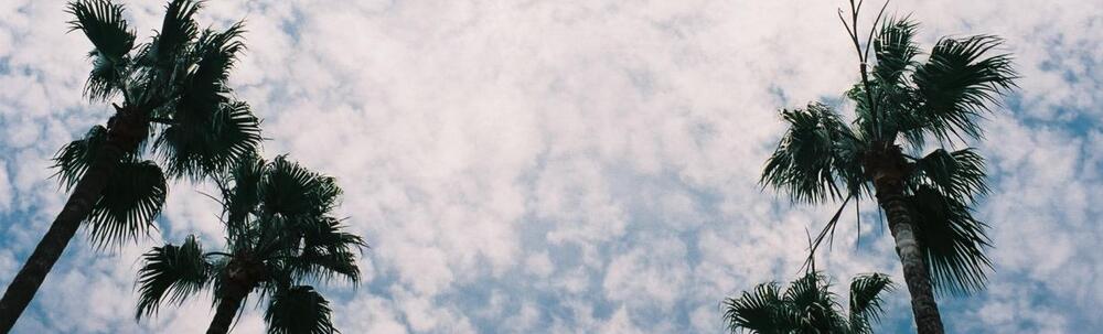 SEA product てのひら カバー