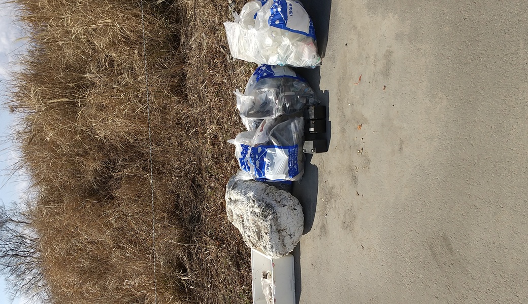 富士市富士川海岸ビーチクリーン レポート