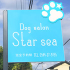 Star sea プロフィール
