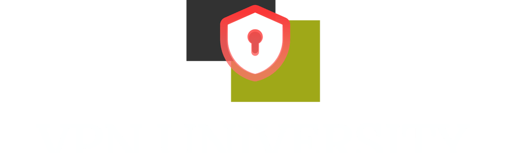 VPN UNIVERSITY カバー