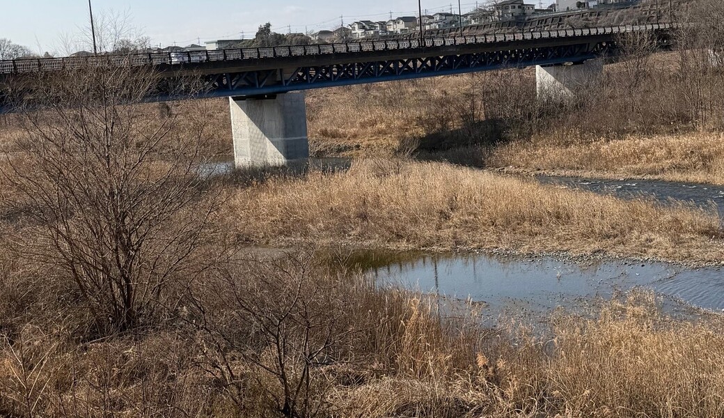 リバークリーン_2026年2月 レポート