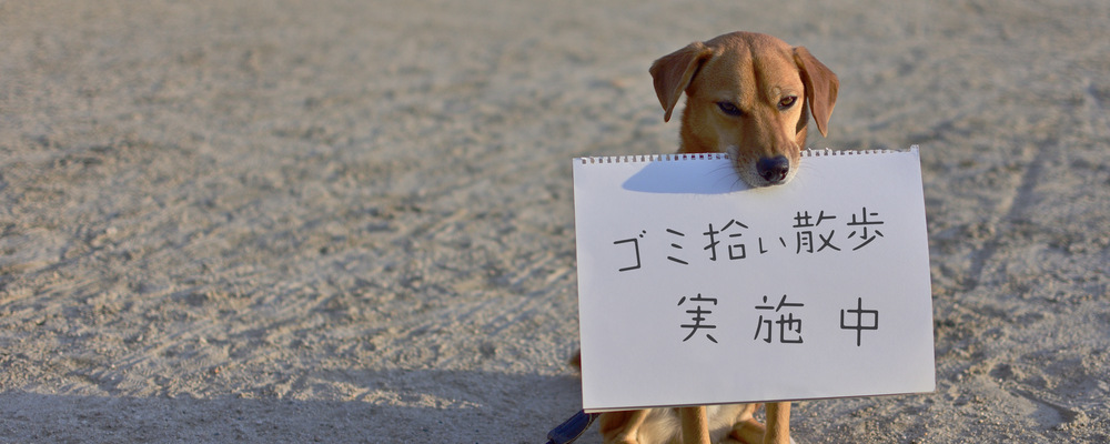 USHIO.net ドッグトレーニング カバー