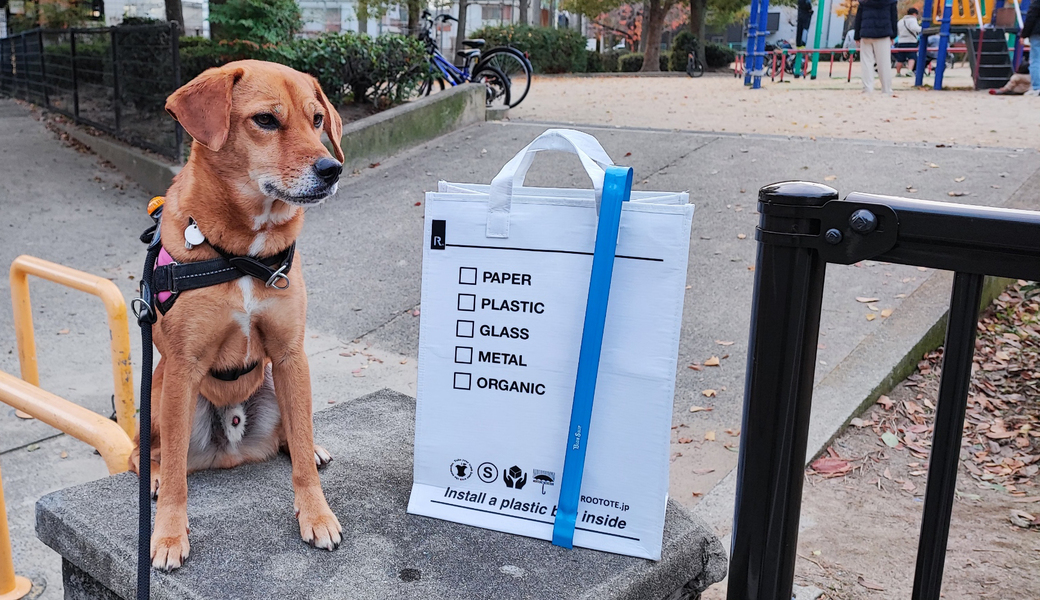 毎日犬とゴミ拾い レポート