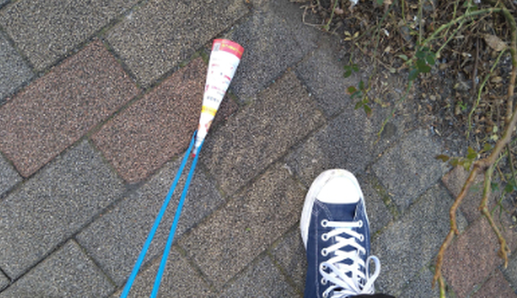 初めてのゴミ拾い レポート