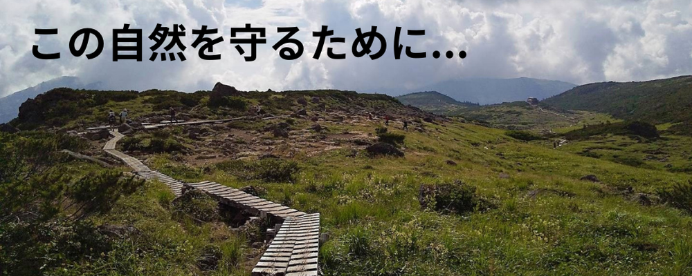 ヤマノブログ編集局 カバー