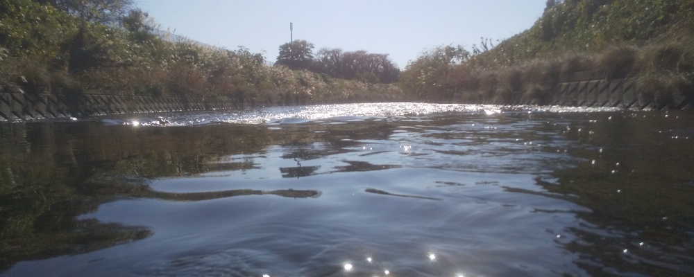 クリーンザリバーふじさわ カバー