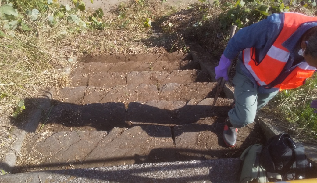 12月26日境川 護岸美化活動 アイキャッチ