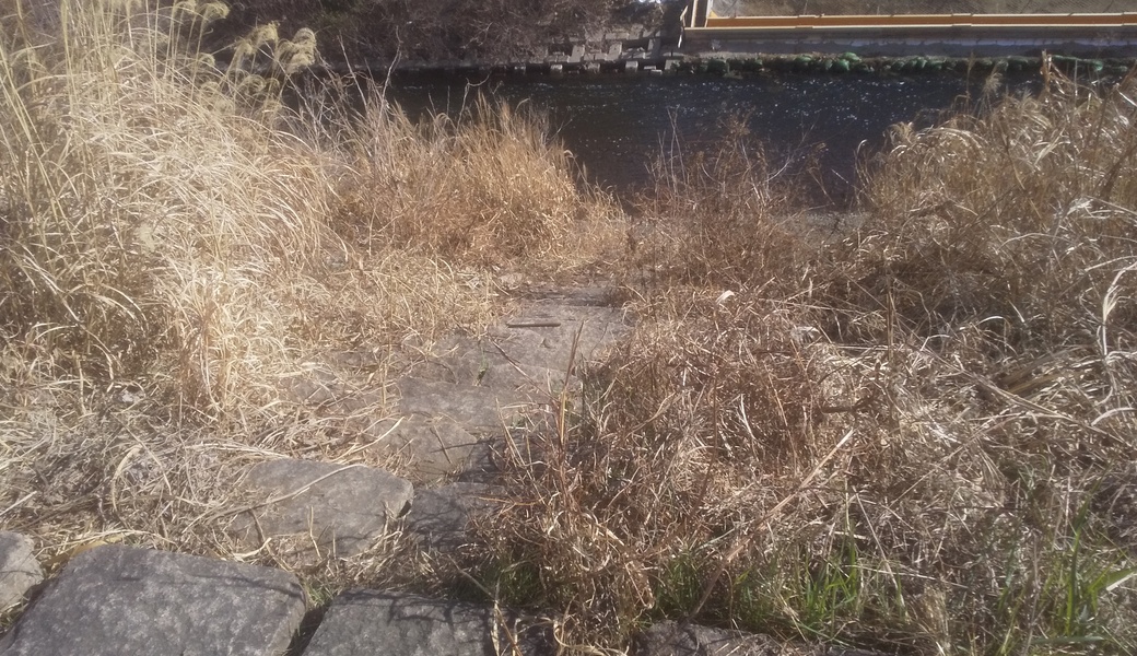 2月6日境川護岸階段をきれいにしてみよう！ アイキャッチ