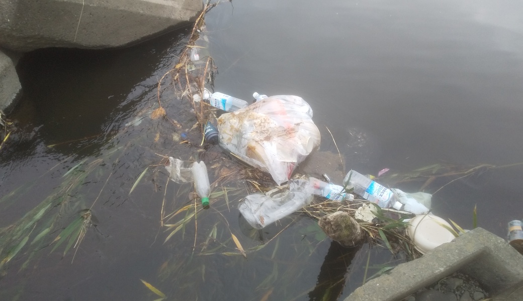 2月11日 境川の川ゴミ拾い活動☆ アイキャッチ