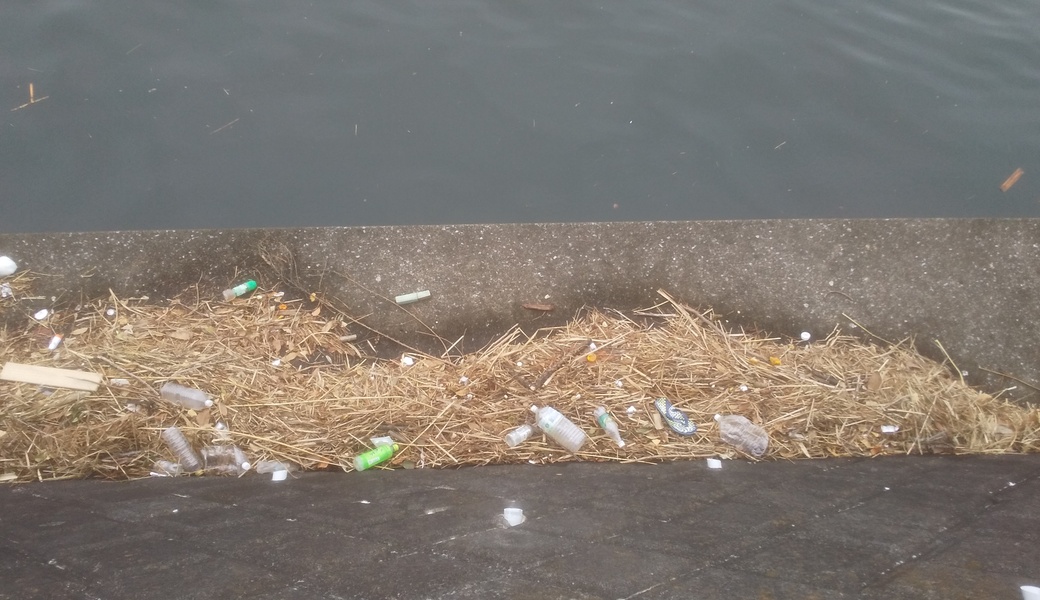 2月15日@境川遊水地公園横 川ゴミ拾い活動☆ アイキャッチ