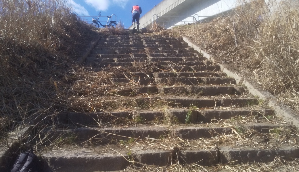 2月6日境川護岸階段をきれいにしてみよう！ レポート