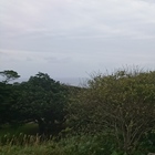 しんすーブログ プロフィール