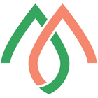 マネーフォレスト運営局 プロフィール