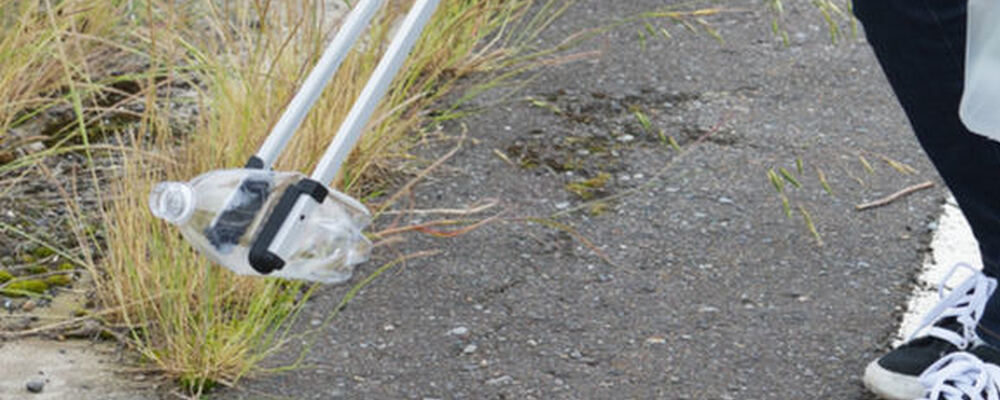 カーネビ カバー