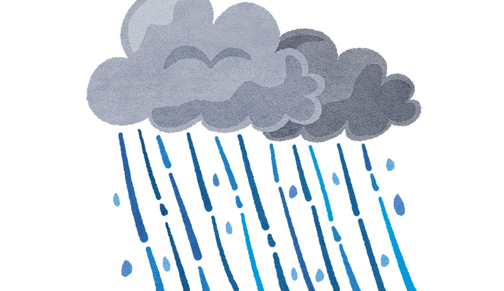 グリーンバード静岡 夜の街中おそうじ レポート