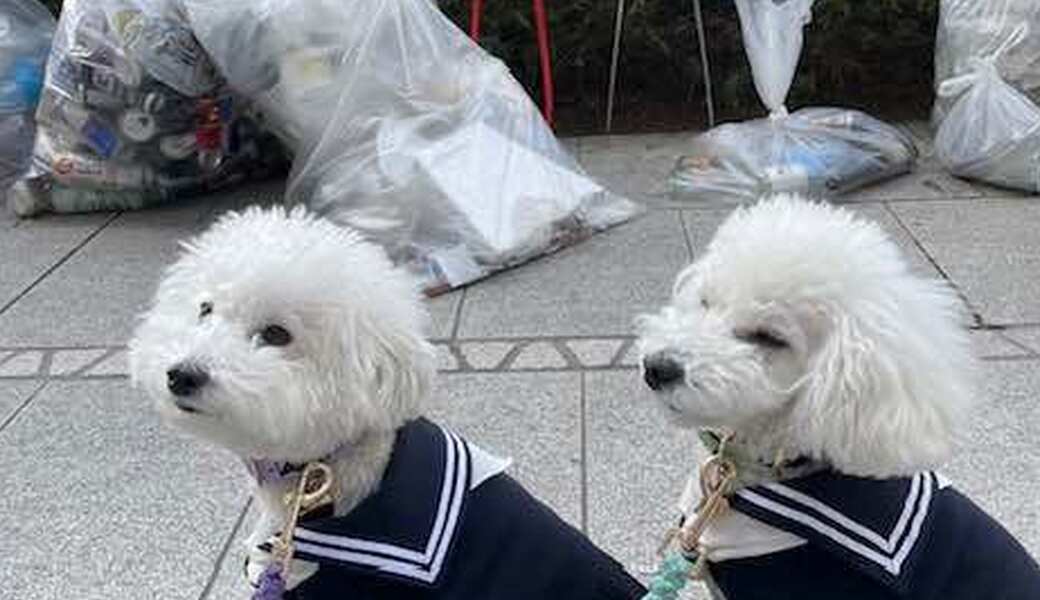 第三回　おさんぽクリーンプロジェクト開催 アイキャッチ