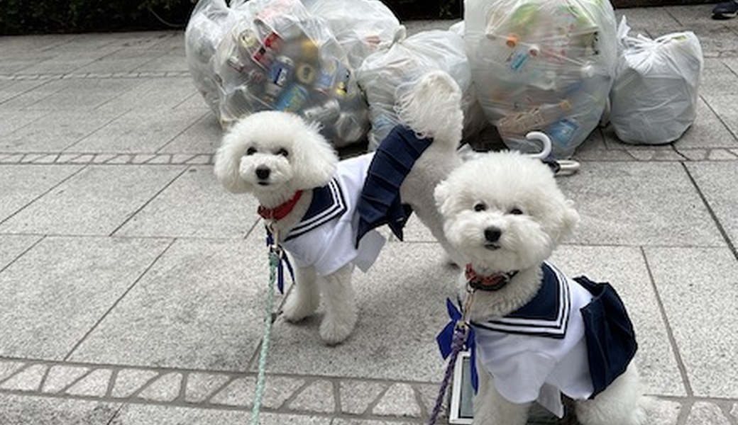 第九回　おさんぽクリーンプロジェクト開催 アイキャッチ