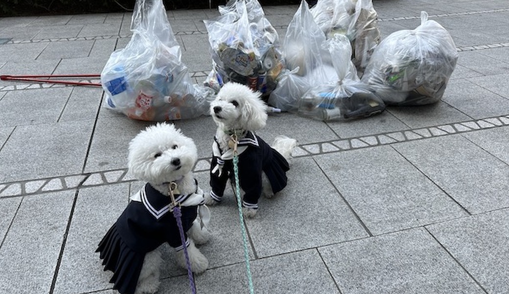 第一回　おさんぽクリーンプロジェクト開催 レポート