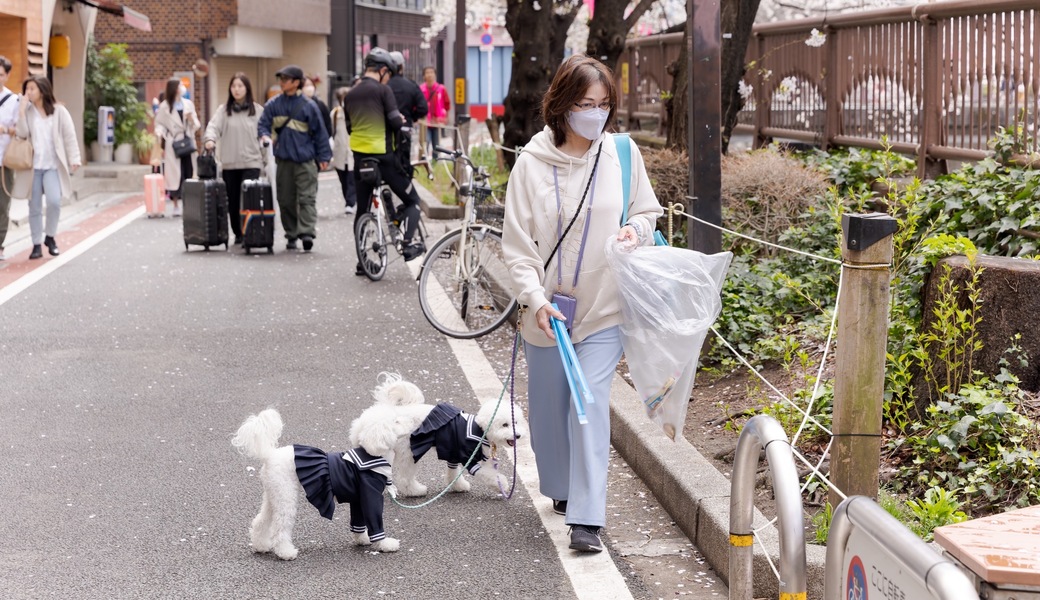 第二回　おさんぽクリーンプロジェクト開催 レポート