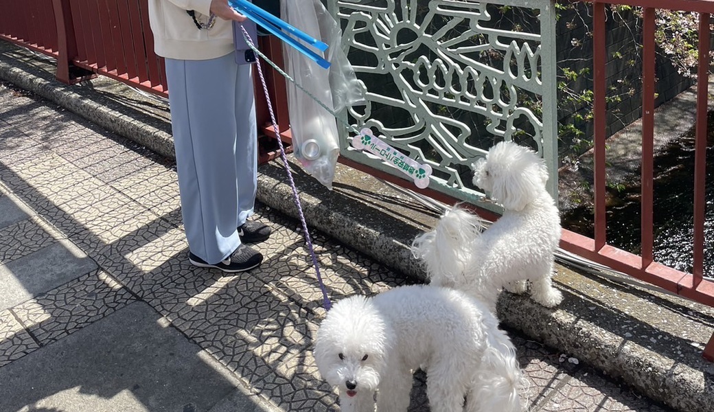 第三回　おさんぽクリーンプロジェクト開催 レポート