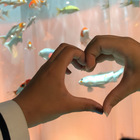 シュークリーム プロフィール