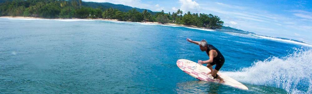 マーボーロイヤル カバー