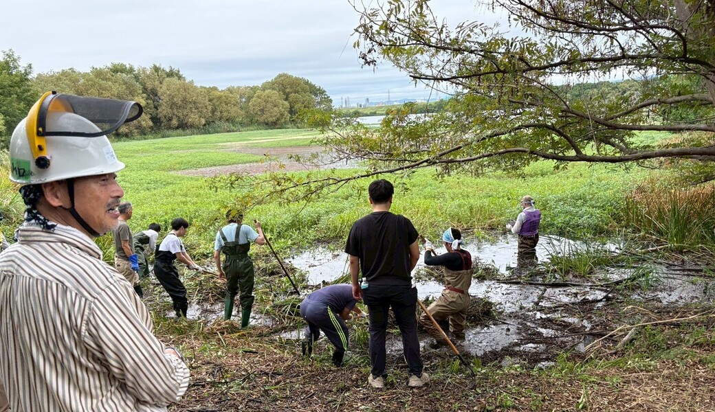 庭窪ワンド周辺の清掃 アイキャッチ