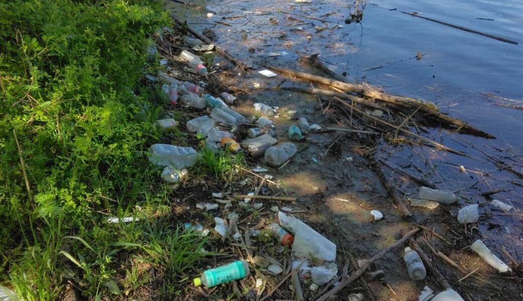 庭窪ワンド周辺の清掃 レポート