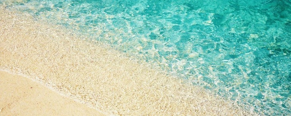 株式会社フォーサイトクリエイション カバー