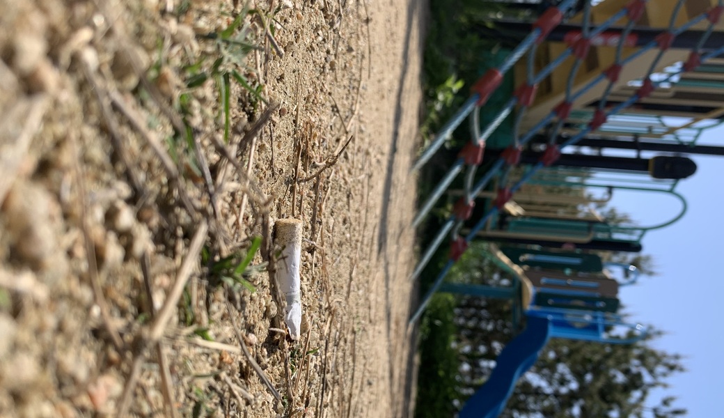 こどもの日ゴミ拾い レポート