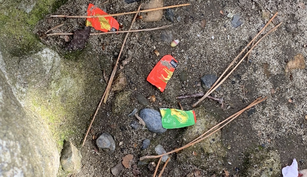 西海岸公園 レポート